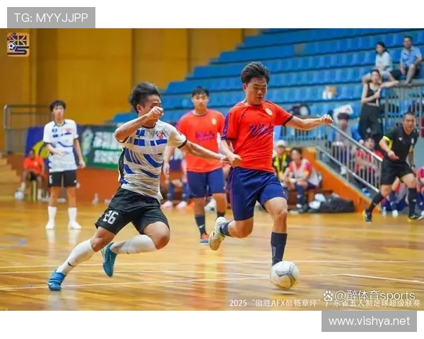 中国职业体育联赛（中国职业体育赛事）sports